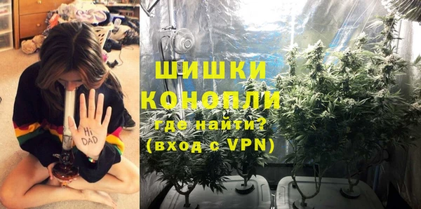 спайс Баксан