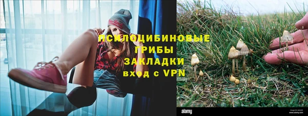 спайс Баксан