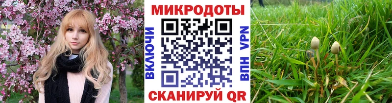 Галлюциногенные грибы Magic Shrooms  купить наркотик  kraken как зайти  Таруса 